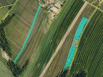 Prodej pozemku, Maršov, 31902 m2