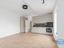 Pronájem bytu 3+kk, Plzeň - Jižní Předměstí, Železná, 59 m2