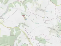 Dražba lesa, Přemyslovice, 6942 m2