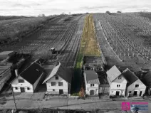 Prodej sadu/vinice, Bořetice, 2567 m2