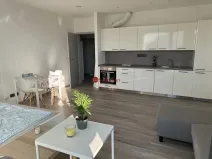 Pronájem bytu 1+kk, Svitavy - Lány, Svitavská, 33 m2