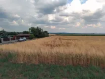 Prodej pozemku pro bydlení, Tršice, 600 m2