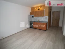 Pronájem bytu 1+1, Nové Sedlo, Revoluční, 38 m2