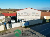 Prodej obchodního prostoru, Králův Dvůr - Levín, 411 m2