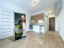 Pronájem bytu 1+1, Chomutov, Kostnická, 36 m2