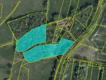 Prodej lesa, Jaroměř, 19276 m2