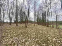 Prodej pozemku, Žinkovy, 4100 m2