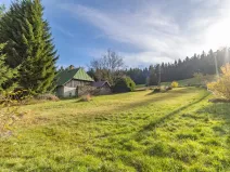 Prodej chalupy, Nicov - Studenec, 180 m2