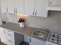 Pronájem bytu 2+1, Ostrava - Hrabůvka, Dr. Martínka, 52 m2