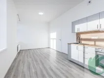 Pronájem bytu 1+kk, Kralupy nad Vltavou, S. K. Neumanna, 38 m2