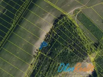 Prodej lesa, Dubňany, 442 m2