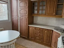 Pronájem bytu 2+1, Ostrava - Výškovice, Šeříková, 43 m2