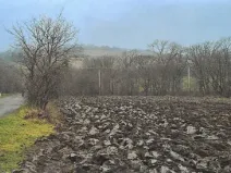 Dražba komerčního pozemku, Radějov, 3231 m2