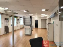 Prodej obchodního prostoru, Znojmo, Velká Michalská, 326 m2