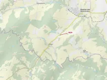 Dražba lesa, Budišov nad Budišovkou, 7776 m2