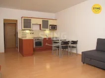 Pronájem bytu 1+kk, Opava, Antonína Sovy, 32 m2