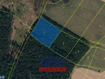 Prodej lesa, Otín, 4352 m2