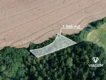 Prodej pole, Borek, 1565 m2