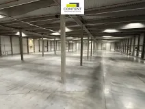 Pronájem skladu, Ostrava - Kunčičky, Rajnochova, 8000 m2