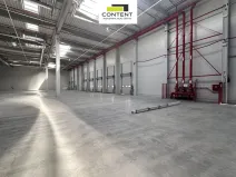 Pronájem výrobních prostor, Údlice, Droužkovická, 25754 m2