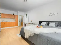 Pronájem bytu 1+kk, Liberec, Jeronýmova, 33 m2