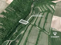 Prodej pole, Žarošice, 2535 m2