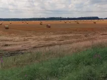 Prodej pole, Dříteň, 131617 m2