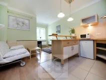 Prodej bytu 1+kk, Praha - Nusle, U družstva Ideál, 27 m2