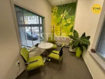 Pronájem kanceláře, Ostrava, Kounicova, 17 m2
