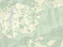 Dražba lesa, Zděchov, 1866 m2