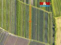 Prodej pole, Moravský Žižkov, 897 m2