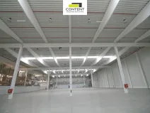 Pronájem výrobních prostor, Myslinka, 29469 m2