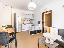 Prodej bytu 1+1, České Budějovice, N. Frýda, 41 m2