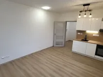 Pronájem bytu 1+kk, Nový Jičín, Palackého, 25 m2