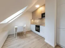 Pronájem bytu 1+kk, Praha - Bubeneč, Veletržní, 29 m2