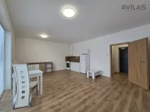 Pronájem bytu 1+kk, Benešov, U Pivovaru, 36 m2