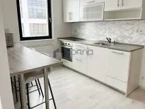 Pronájem bytu 1+kk, Praha, Kačírkova, 35 m2