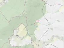 Dražba lesa, Nová Hradečná, 6275 m2