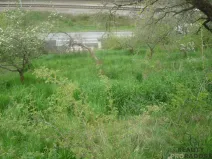 Prodej pozemku pro bydlení, Rosovice, 400 m2