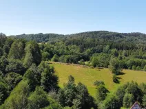 Prodej pozemku pro bydlení, Olešnice v Orlických horách, 4589 m2