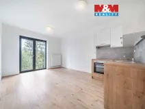 Pronájem bytu 1+kk, Třemošná, Školní, 32 m2