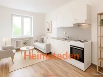 Pronájem bytu 1+kk, Havířov - Město, Alšova, 27 m2