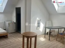Pronájem bytu 1+kk, Praha, Zenklova, 17 m2