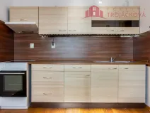 Prodej bytu 1+1, Ostrava, 48 m2