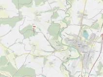 Dražba lesa, Vesce, 5196 m2