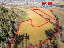Prodej louky, Malenice, 25808 m2