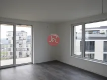 Pronájem bytu 2+kk, Ostrava, F. X. Riepla, 54 m2