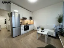 Pronájem bytu 1+kk, Olomouc, Camilla Sitteho, 31 m2