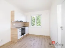 Prodej bytu 1+1, Ostrava - Mariánské Hory, Cottonové, 37 m2