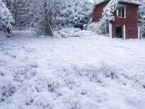 Prodej louky, Dlouhomilov, 7512 m2